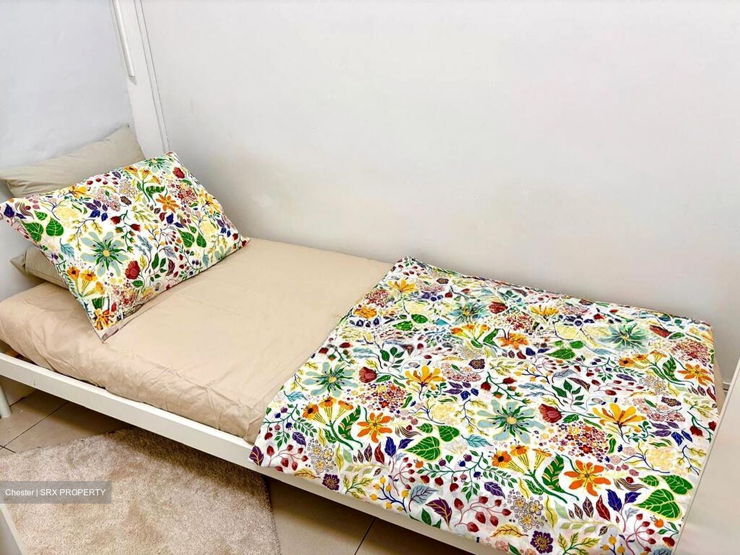 Astoria Park (D14), Condominium #524950711